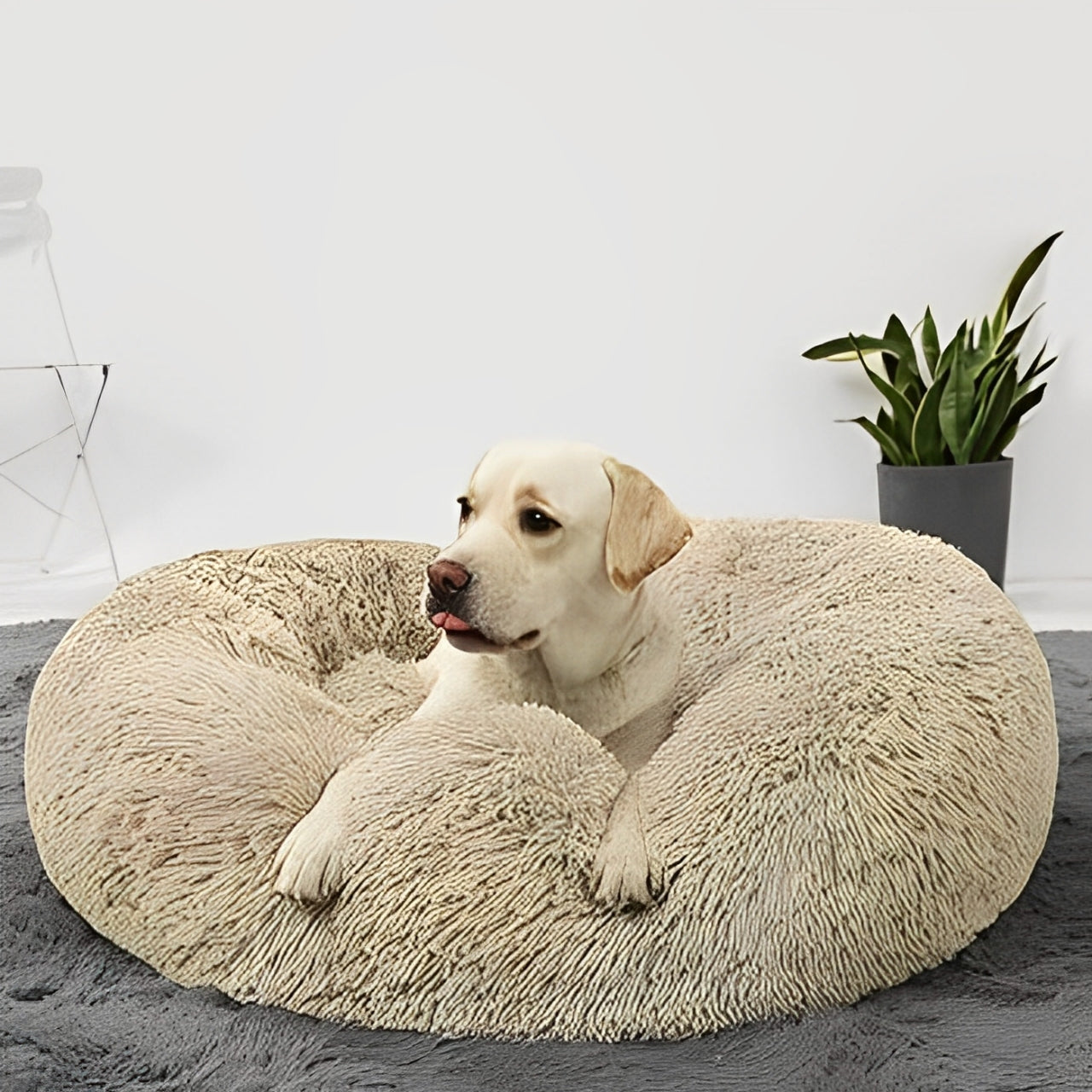 Cama Calmante™ – Relajación y Bienestar para tu Mascota